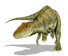 Carcharodontosaurus