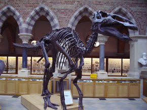 Edmontosaurus