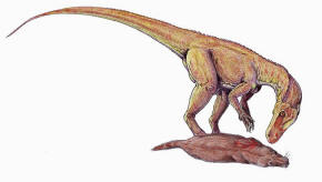 Herrerasaurus