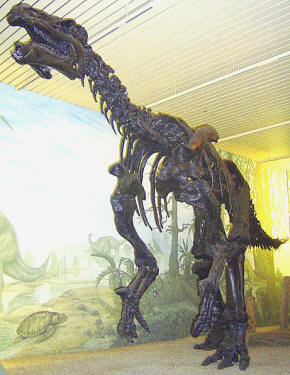 Iguanodon