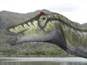 Prosaurolophus