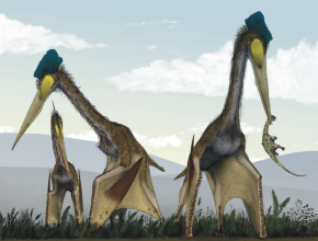 Pterosaur