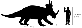 Styracosaurus scale