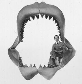 Megalodon