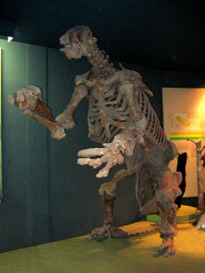 Ground Sloth